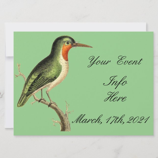 Hummingbird auf Zweig Thunder_Cove (Vorderseite)