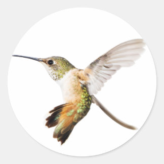 Hummingbird-Aufkleber für Frauen Runder Aufkleber