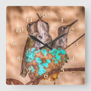 HUMMINGBIRD BABIES BUSTING LOOSE QUADRATISCHE WANDUHR