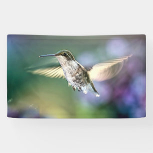Hummingbird Banner