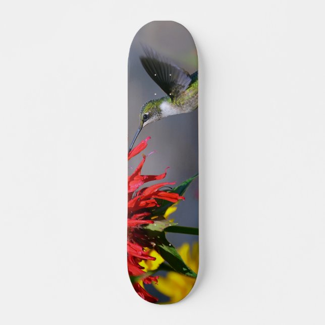 Hummingbird Beauty Skateboard (Vorne)