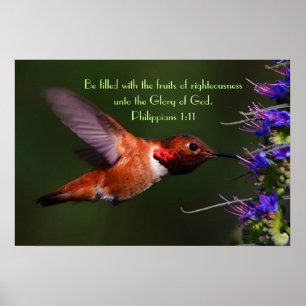Hummingbird Bible verse Philippians 1:11 Poster