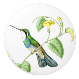 Hummingbird Bird Blume Floral Garden Knob Keramikknauf