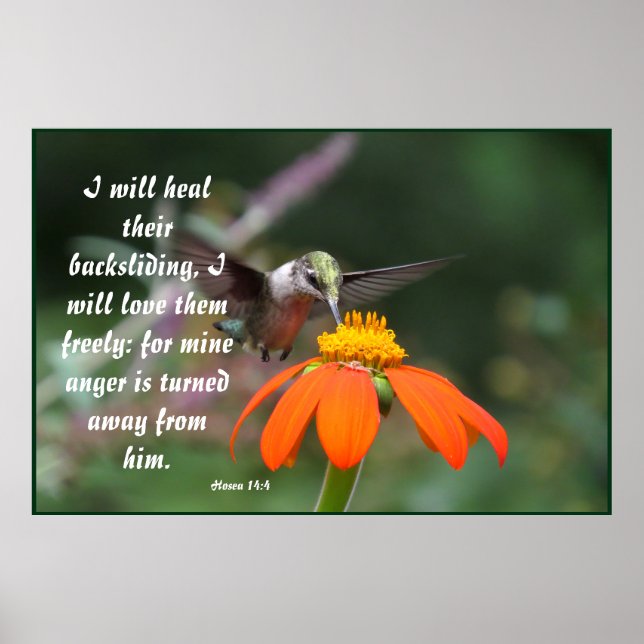 Hummingbird Bird Blume Floral Hosea 14:4 heilt Poster (Vorne)