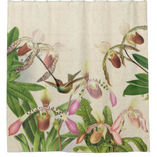 Hummingbird Bird Ladys Slipper Orchid Blume Duschvorhang