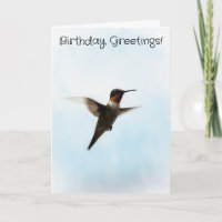 Hummingbird Bird Lover Geburtstagskarte