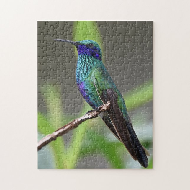 Hummingbird Bird Perched Beak Feathers Puzzle (Vertikal)