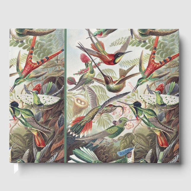 Hummingbird Bird Wildlife Classic Painting Gästebuch (Vorderseite)