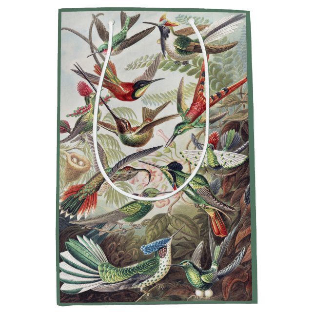 Hummingbird Bird Wildlife Classic Painting Mittlere Geschenktüte (Vorderseite)