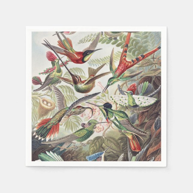 Hummingbird Bird Wildlife Classic Painting Serviette (Vorderseite)
