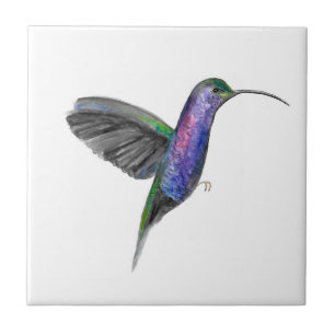 Hummingbird Bird Wildlife Fliese