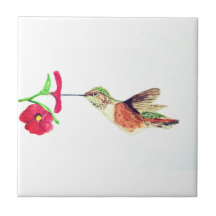 Hummingbird Bird Wildlife Fliese