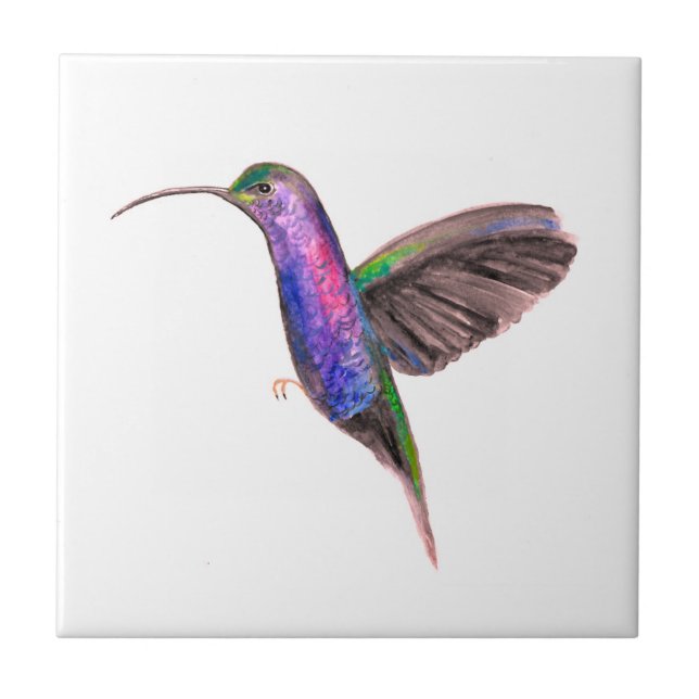 Hummingbird Bird Wildlife Fliese (Vorderseite)