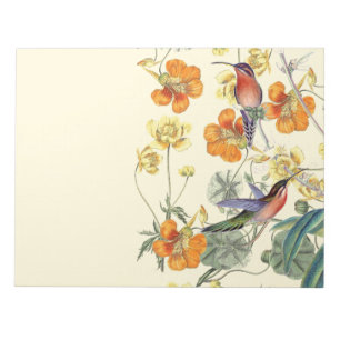 Hummingbird Birds Blume Floral Wildlife Notizblock