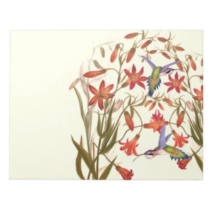 Hummingbird Birds Blume Floral Wildlife Notizblock