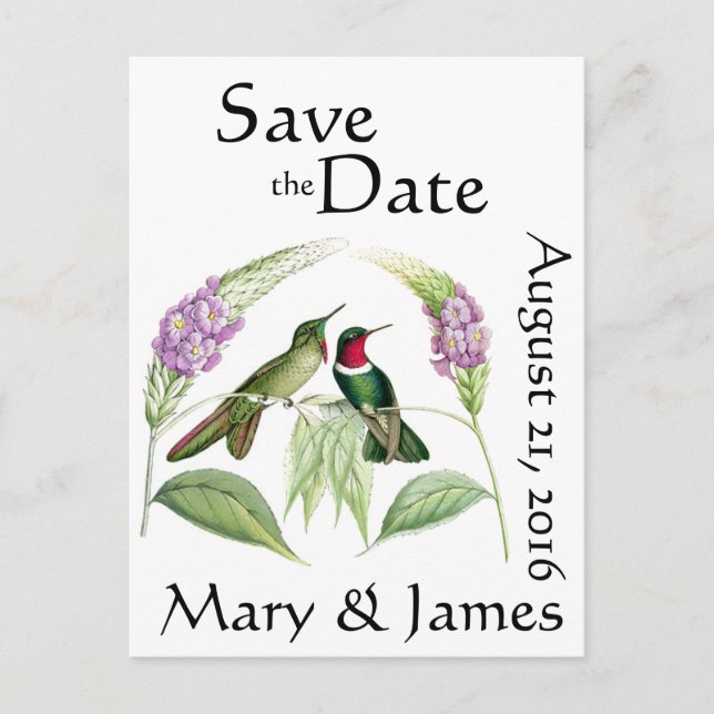 Hummingbird Birds Wildlife Blume Save the Date Ankündigungspostkarte (Vorderseite)