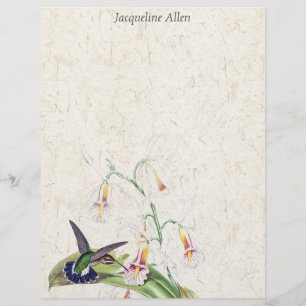 Hummingbird Birds Wildlife Blumen Letterhead