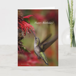 Hummingbird Birthday Card Karte