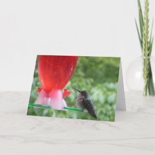 Hummingbird Birthday Card Karte