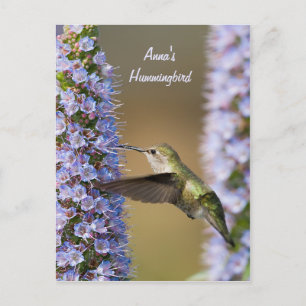 Hummingbird Blume Benutzerdefinierte Postkarte
