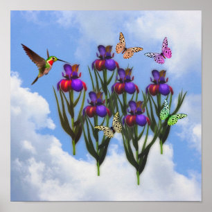 Hummingbird Butterflies Iris Blume Poster