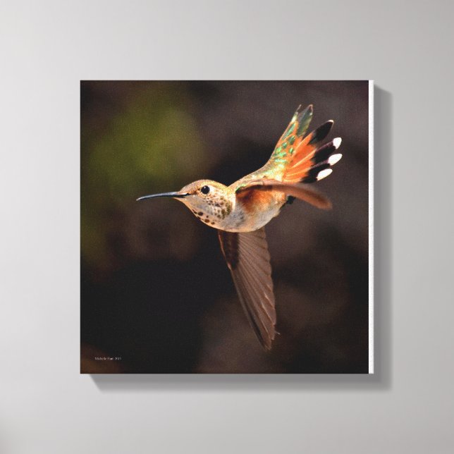 Hummingbird Canvas Print Leinwanddruck (Vorderseite)