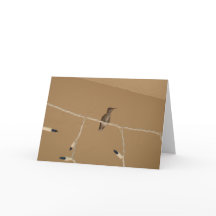 Hummingbird Christmas