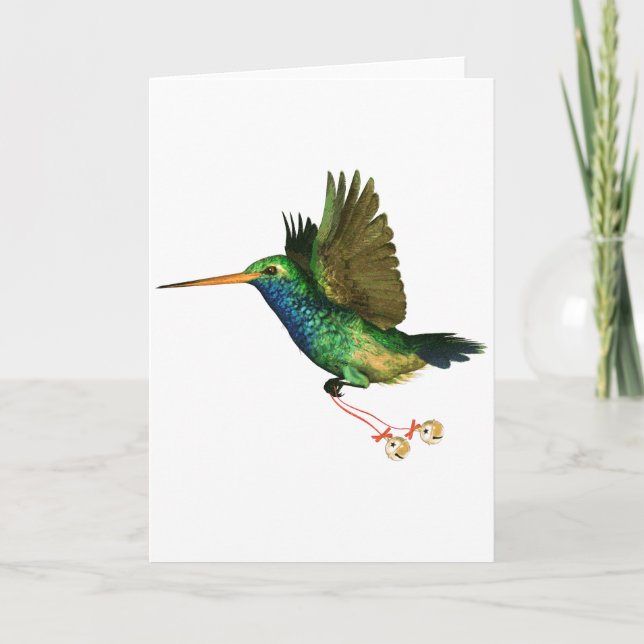Hummingbird Christmas Feiertagskarte (Vorderseite)