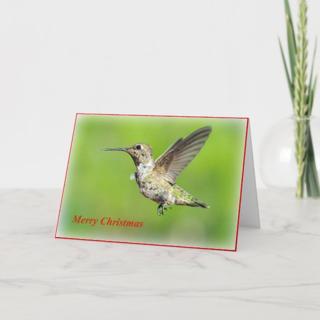 Hummingbird Christmas Grußkarte Feiertagskarte (Vorderseite)