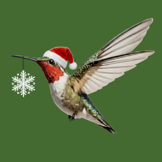 Hummingbird Christmas Ornament snowflake hanging Fotoskulptur Ornament (hummingbird christmas ornament cute bird holding white snowflake decoration wearing a red santa hat)