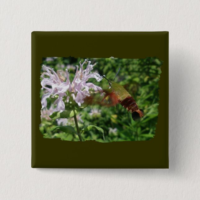 Hummingbird Clear Wing Moth Coordinated Items Button (Vorderseite)