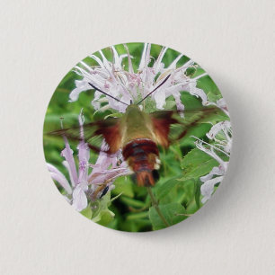 Hummingbird Clear Wing Moth Coordinated Items Button