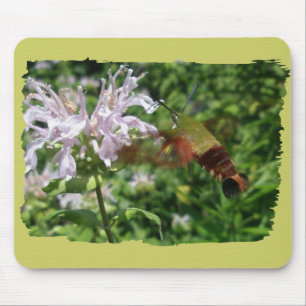 Hummingbird Clear Wing Moth Coordinated Items Mousepad