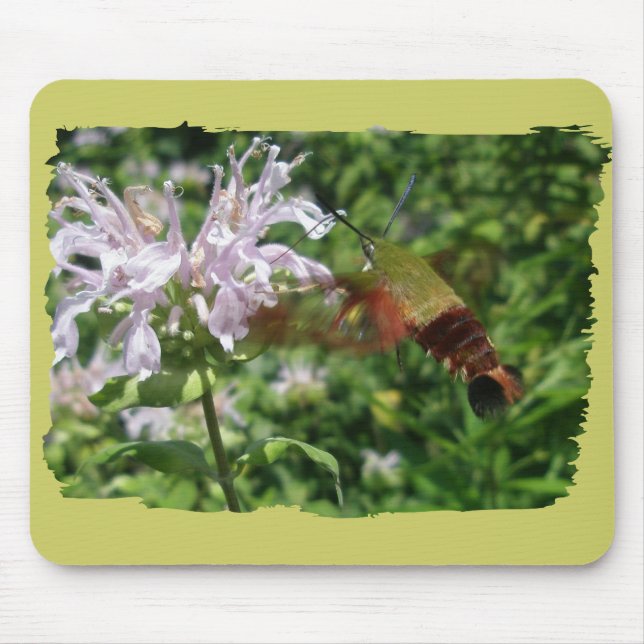 Hummingbird Clear Wing Moth Coordinated Items Mousepad (Vorne)