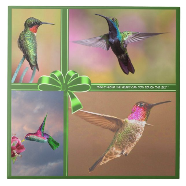 HUMMINGBIRD COLLAGE, QUOTE FLIESE (Vorderseite)