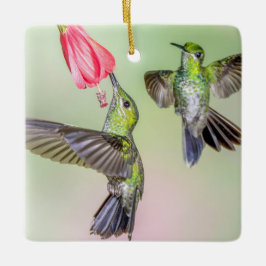 Hummingbird Couple Flying Together Name Keramikornament