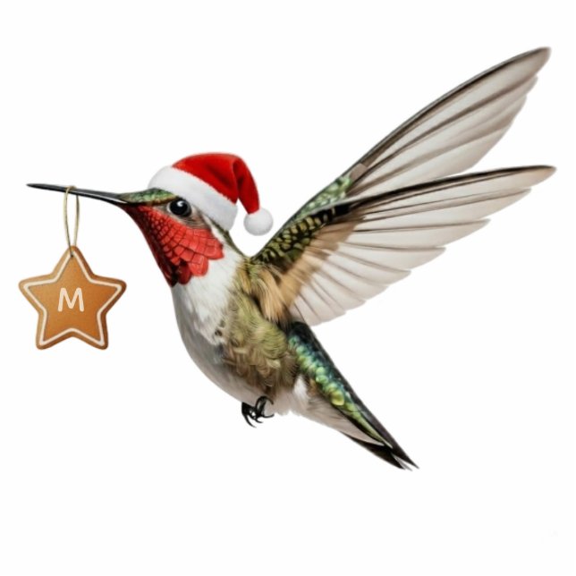 Hummingbird Customized Monogram Christmas Ornament Fotoskulptur Ornament (Vorne)