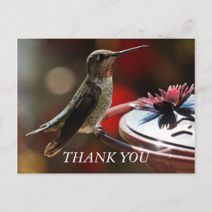 Hummingbird Danke Karte