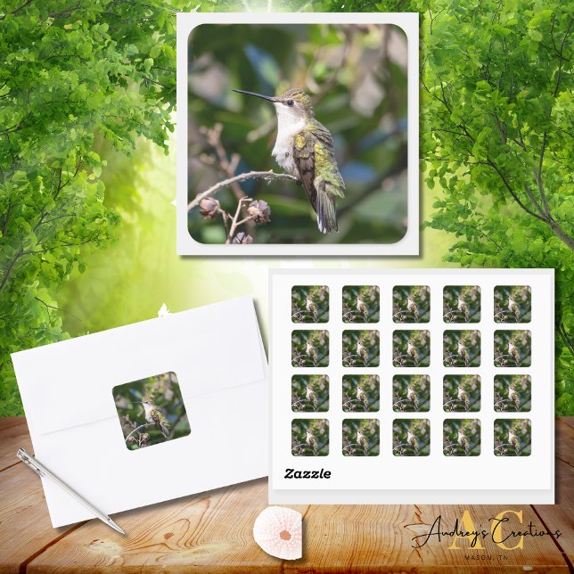 Hummingbird Design #4Q7A5301 Quadratischer Aufkleber (Von Creator hochgeladen)