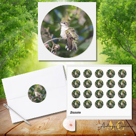 Hummingbird Design #4Q7A5304 Runder Aufkleber
