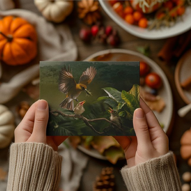 Hummingbird Die Vögel der Mutter balancieren anmut Postkarte (Von Creator hochgeladen)