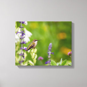 Hummingbird-Erholung Leinwanddruck