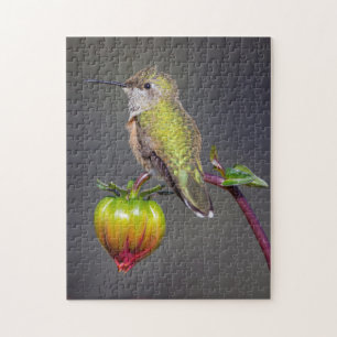 Hummingbird-Erholungen auf Blume Puzzle