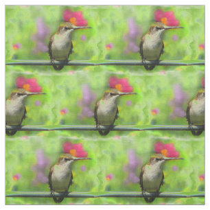 Hummingbird Fabric Stoff