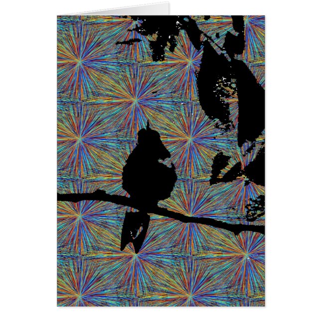 Hummingbird Fireworks (Vorne)