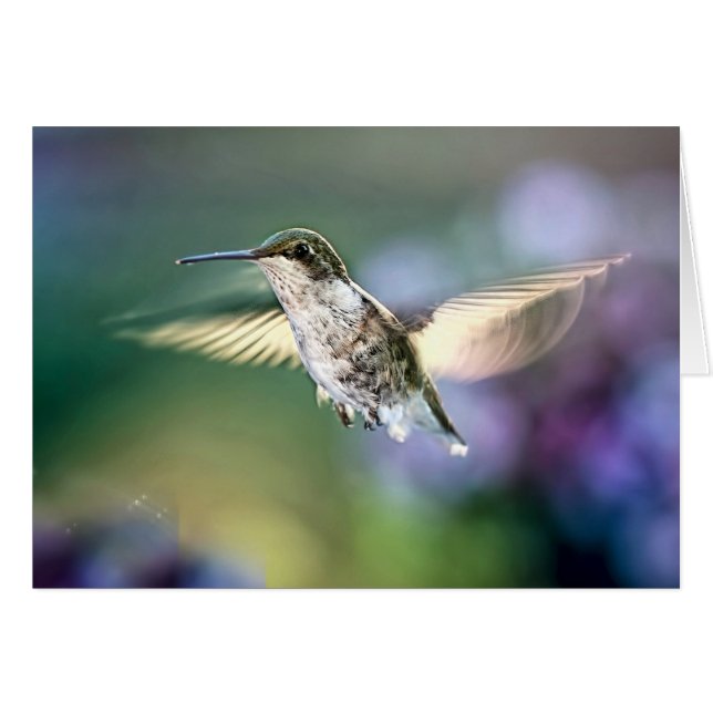 Hummingbird Flying (Vorderseite (Horizontal))