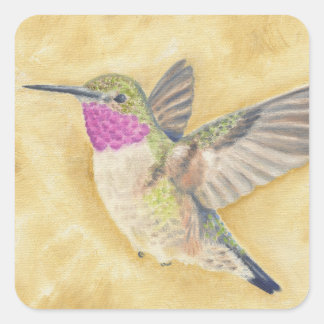 Hummingbird Flying-Aufkleber Quadratischer Aufkleber