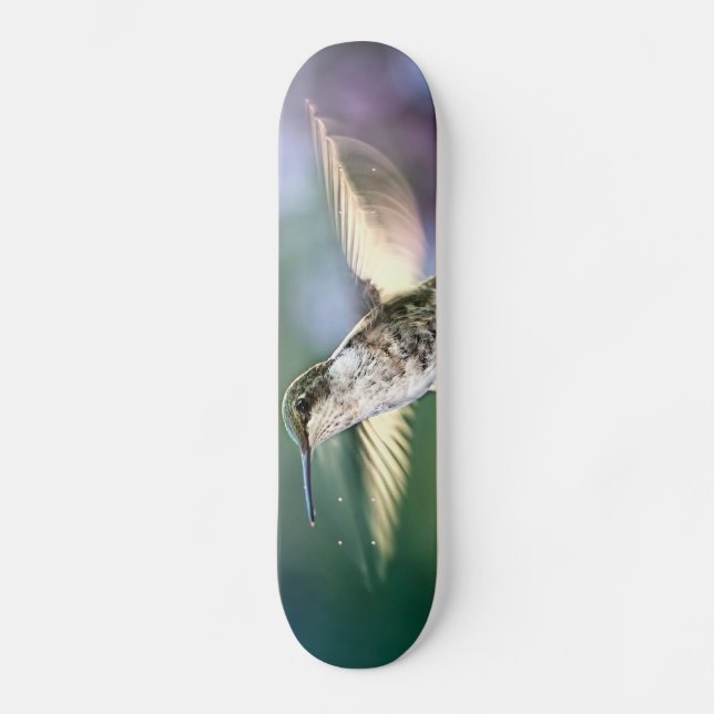 Hummingbird Flying Skateboard (Vorderseite)