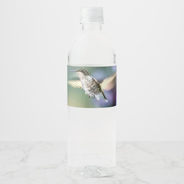 Hummingbird Flying Wasserflaschenetikett (Vorderseite)