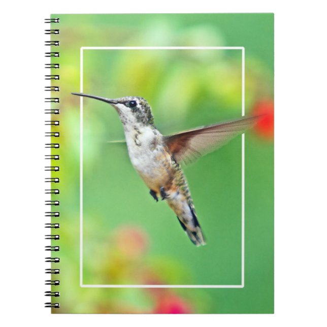 Hummingbird Fotograf Notizblock (Vorderseite)